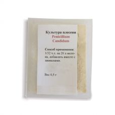 Культура плесени Penicillium Candidum в Муроме